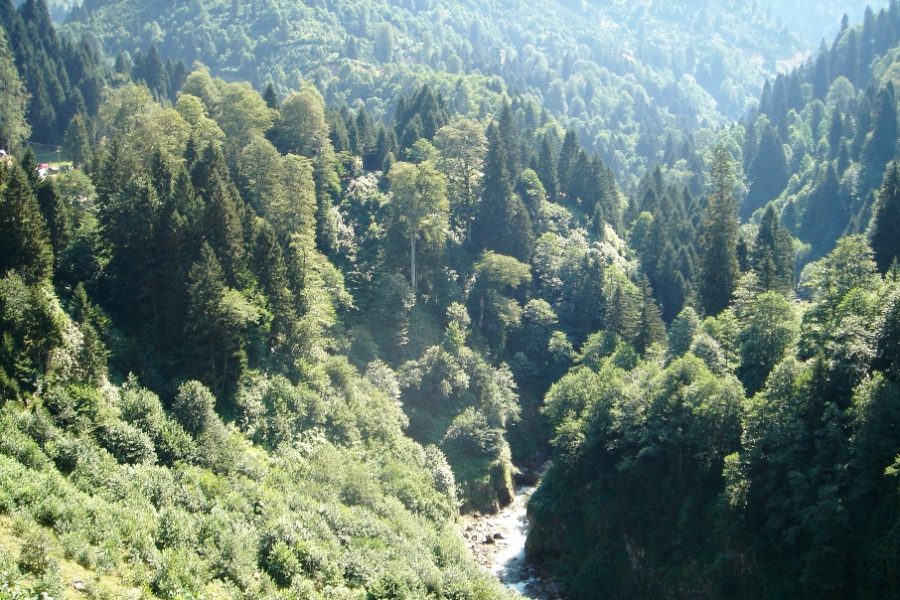 Doğu Karadeniz – Trabzon ve Rize Rotası - destinasyon görseli